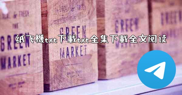 纸飞機txt下載txt全集下載全文阅读