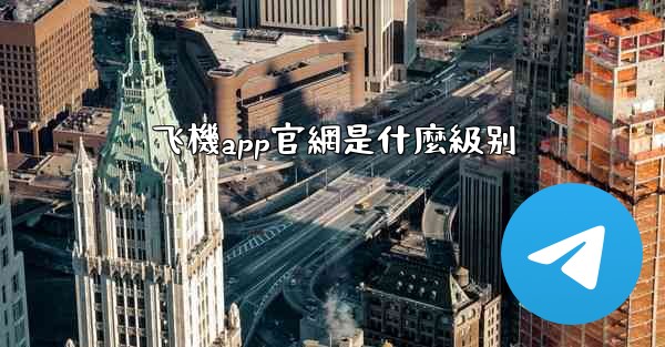 飞機app官網是什麼級别