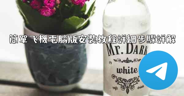 簡單飞機電腦版安裝教程詳細步驟詳解