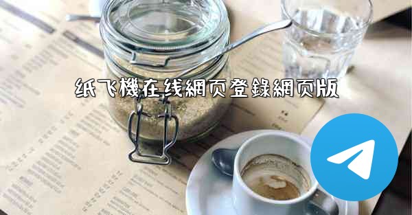 纸飞機在线網页登錄網页版