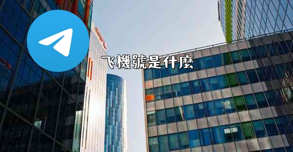 飞機號是什麼