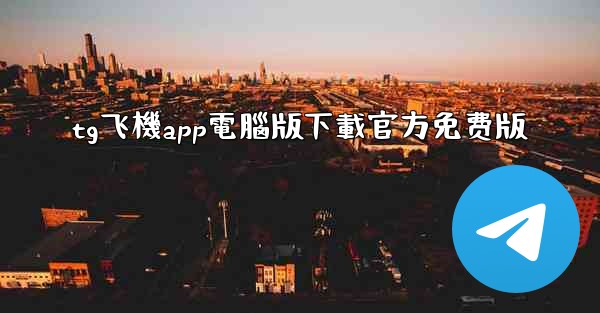 tg飞機app電腦版下載官方免费版