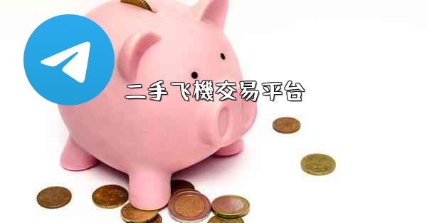 <b>二手飞機交易平台</b>