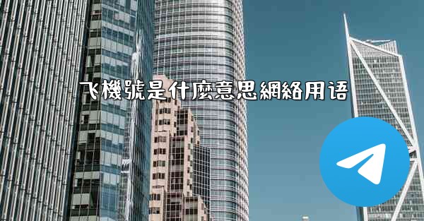 飞機號是什麼意思網絡用语