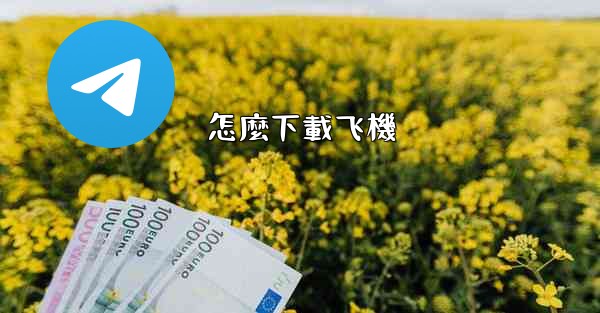 <b>怎麼下載飞機</b>