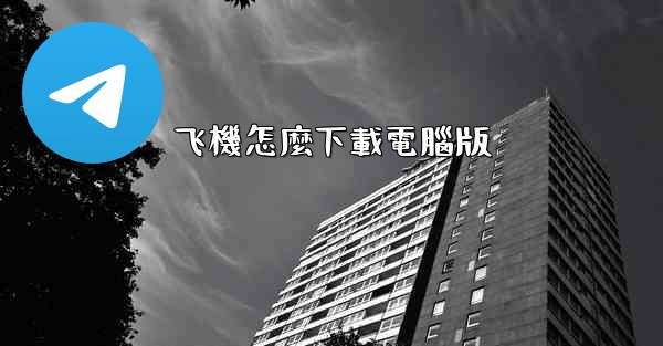 飞機怎麼下載電腦版