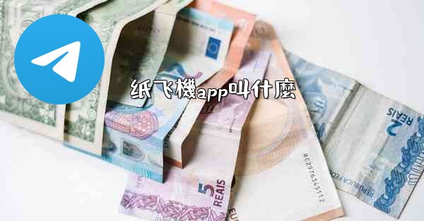 <b>纸飞機app叫什麼</b>