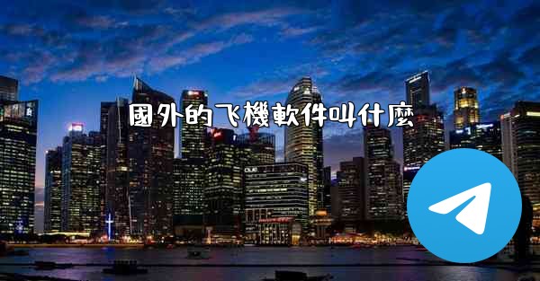國外的飞機軟件叫什麼