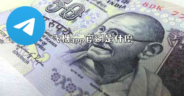 飞機app官網是什麼