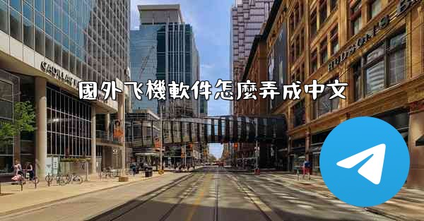 國外飞機軟件怎麼弄成中文