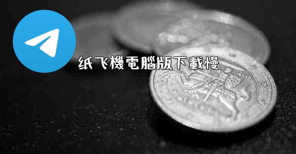 纸飞機電腦版下載慢