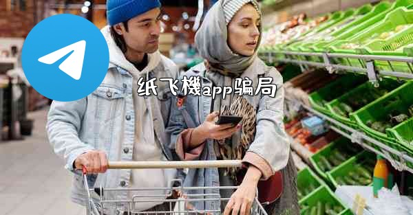 纸飞機app骗局