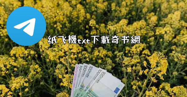 纸飞機txt下載奇书網