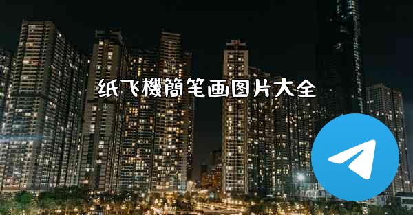 纸飞機簡笔画图片大全