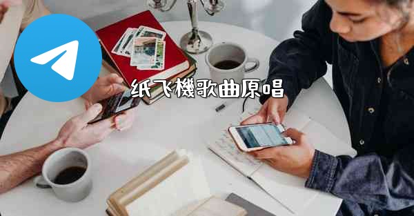 纸飞機歌曲原唱