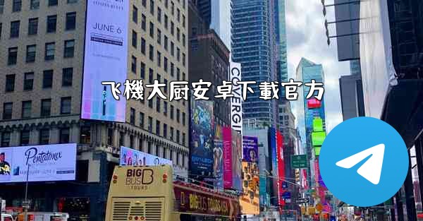飞機大厨安卓下載官方