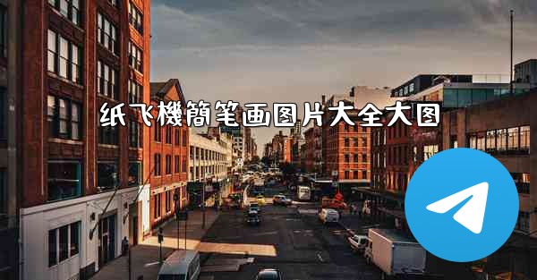 纸飞機簡笔画图片大全大图