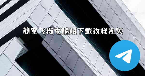 簡單飞機電腦版下載教程视频
