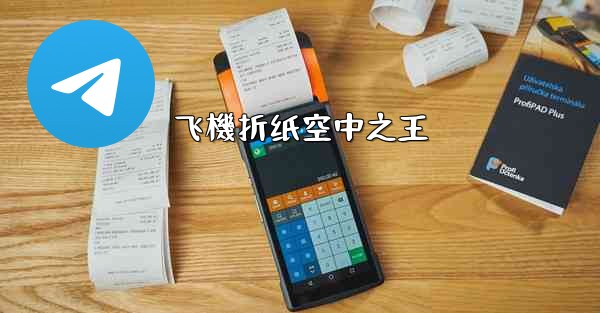 飞機折纸空中之王