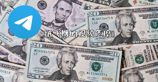 纸飞機的视频怎麼叠