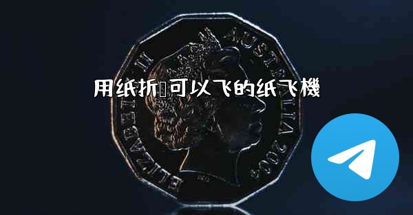 <b>用纸折叠可以飞的纸飞機</b>