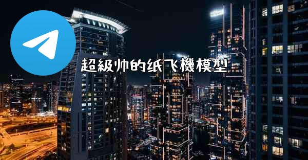 超級帅的纸飞機模型