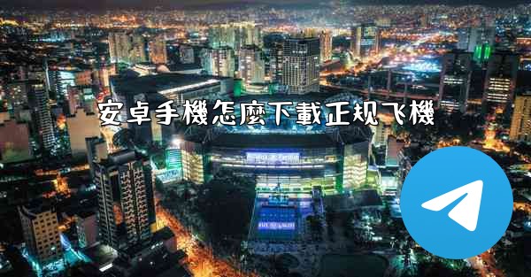 安卓手機怎麼下載正规飞機