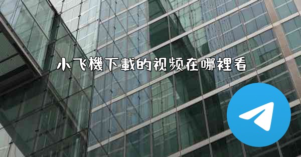 小飞機下載的视频在哪裡看