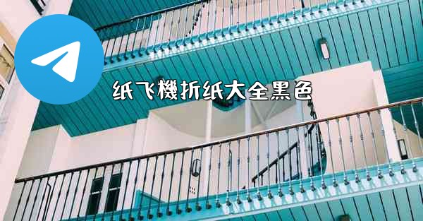 纸飞機折纸大全黑色