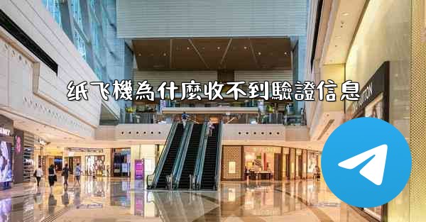 纸飞機為什麼收不到驗證信息