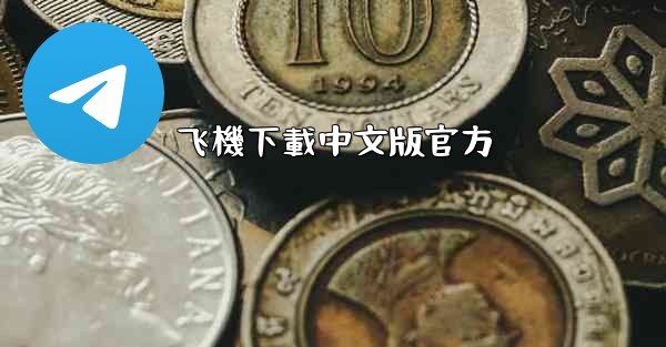 飞機下載中文版官方