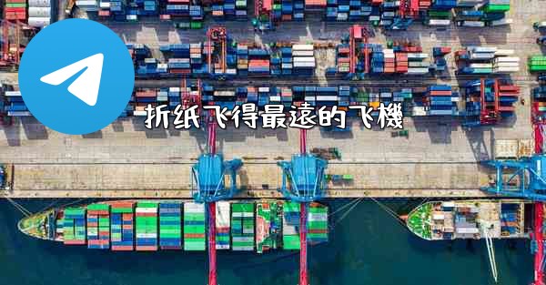 折纸飞得最遠的飞機