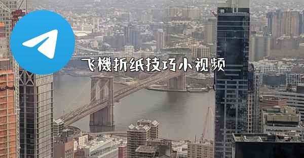 <b>飞機折纸技巧小视频</b>