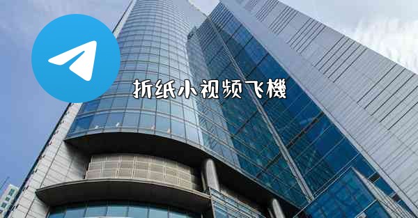 折纸小视频飞機