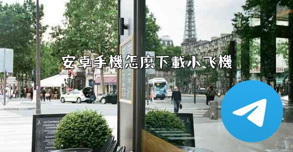 安卓手機怎麼下載小飞機