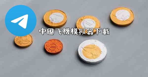 中國飞機模拟器下載