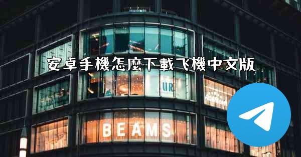 安卓手機怎麼下載飞機中文版