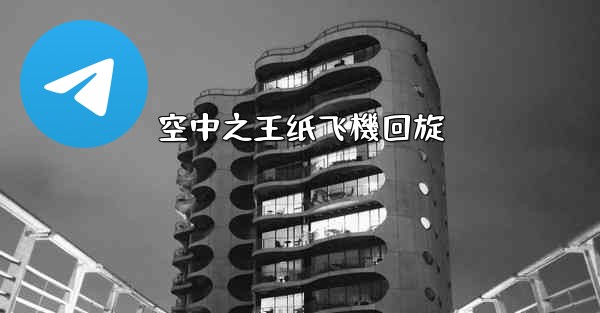 空中之王纸飞機回旋