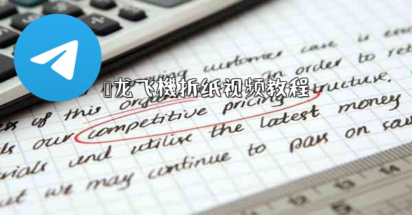 枭龙飞機折纸视频教程