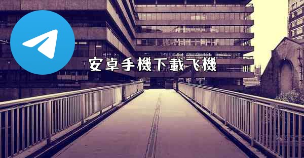 <b>安卓手機下載飞機</b>