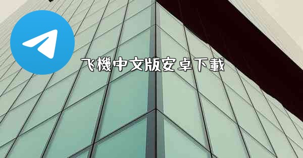 飞機中文版安卓下載