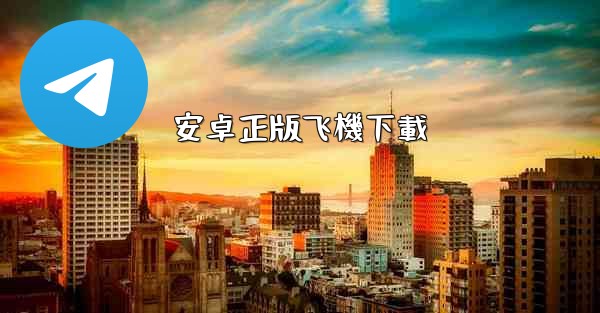 安卓正版飞機下載