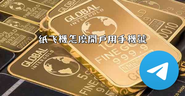 <b>纸飞機怎麼開戶用手機號</b>