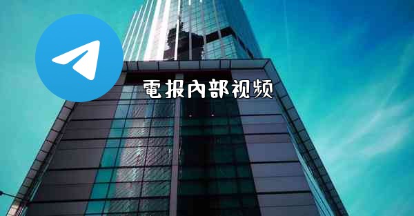 電报內部视频