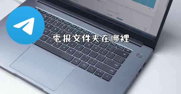 電报文件夹在哪裡