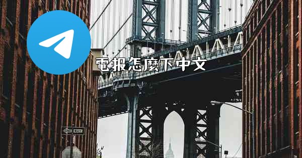 電报怎麼下中文