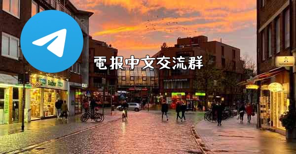 <b>電报中文交流群</b>