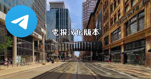 <b>電报汉化版本</b>