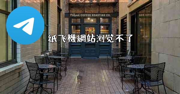 纸飞機網站浏览不了