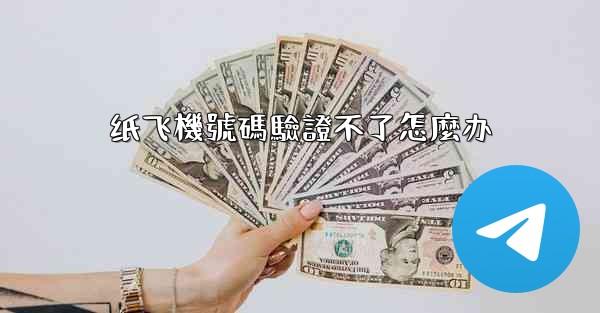 纸飞機號碼驗證不了怎麼办